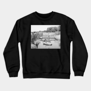 Florida Alligator Show, 1904. Vintage Photo Crewneck Sweatshirt